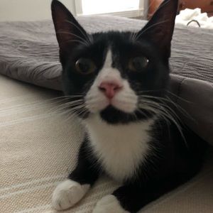 Meet your Posher, Jennifer